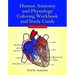 Human Anatomy & Physiology Coloring Workbook