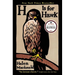 H Is for Hawk