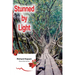 Stunned by Light