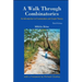 Walk Through Combinatorics (3ed)