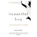 Beautiful Boy: A Father's Journey Through His Son's Addiction