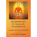 Diamond Key for Opening the Wisdom Eye: A Guide to the Process of Meditation