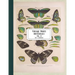 Vintage Prints: Butterflies: Vol. 3