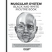 Muscular System Black and White Picture Book: Guide For The Muscular System