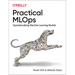 Practical MLOps: Operationalizing Machine Learning Models