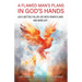 A Flawed Man's Plans in God's Hands: Live a better, fuller life with fewer flaws and more joy!