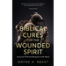 Biblical Cures For The Wounded Spirit: Answers for PTSD and Healing the Invisible Wound
