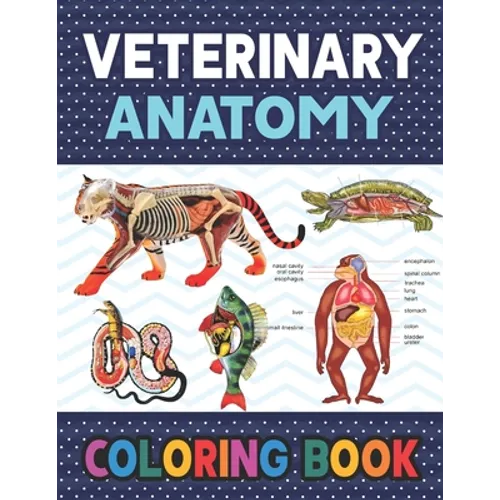 Veterinary Anatomy Coloring Book: Learn The Veterinary Anatomy With Fun & Easy. Animal Anatomy and Veterinary Physiology Coloring Book. Dog Cat Horse