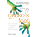 The Gecko's Foot: How Scientists are Taking a Leaf from Nature's Book