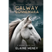 The Galway Connemara The Autobiography of an Irish Connemara Pony - Dyslexia Friendly