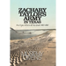 Zachary Taylor's Army in Texas: from Corpus Christi to the Rio Grande 1845 - 1846