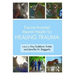 Equine-Assisted Mental Health for Healing Trauma