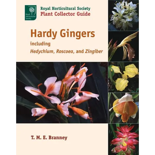 Hardy Gingers: Including Hedychium, Roscoea, and Zingiber