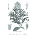 Science and Colonial Expansion: The Role of the British Royal Botanic Gardens