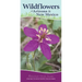 Wildflowers of Arizona & New Mexico: Your Way to Easily Identify Wildflowers