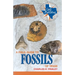 A Field Guide to Fossils of Texas