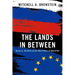 The Lands in Between: Russia vs. the West and the New Politics of Hybrid War