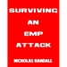 Surviving An EMP Attack: The Ultimate Beginner's Guide On How To Survive A Deadly EMP Attack