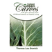 Collard Green Curves: A fat girl's Journey from Childhood Obesity to Healthy Living
