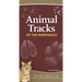 Animal Tracks of the Northeast: Your Way to Easily Identify Animal Tracks