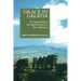 Grace in Galatia: A Commentary on Paul's Letter to the Galatians