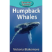 Humpback Whales
