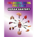 Coloring Book for Kids: Human Anatomy: Kids Coloring Book