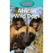 African Wild Dogs