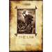 The Law