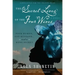 The Secret Lives of the Four Wives