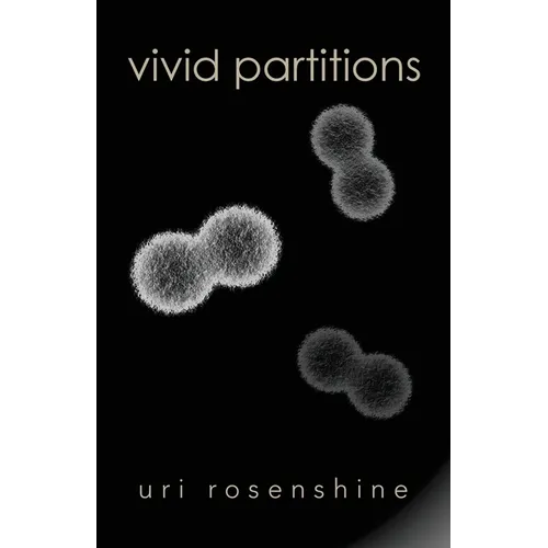 Vivid Partitions