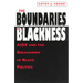The Boundaries of Blackness: AIDS and the Breakdown of Black Politics