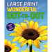 Large Print Wonderful Dot-To-Dot