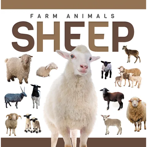 Sheep
