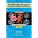 The Microbial Blueprint: The Impact of Your Gut on Your Well-being