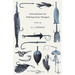 Calculations for Fishing Gear Designs