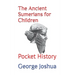 The Ancient Sumerians for Children: Pocket History