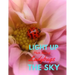 Light Up the Sky Photo Book of Ladybugs: Picture Book of Full Color Photography of Ladybugs and Flowers