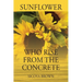 Sunflower Who Rise from Concrete