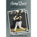 SwingQuest: A Coach's Guide to Teaching and Enjoying Youth Baseball
