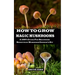 How to Grow Magic Mushrooms: A 100% Guide for Beginners. Benefits of Mushroom Grower's kit