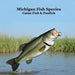 Michigan Game Fish and Panfish Species Kids Book: Great Book About the Different Types of Fish in Michigan