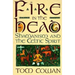 Fire in the Head: Shamanism and the Celtic Spirit