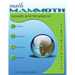 Math Mammoth Grade 4-B Worktext