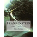 Frankenstein: Large Print Edition