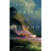 All the Horses of Iceland