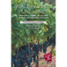 Healthy Vines, Pure Wines: Methods in Organic, Biodynamic(R), Natural, and Sustainable Viticulture