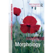 Understanding Morphology