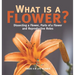 What is a Flower? Dissecting a Flower, Parts of a Flower and Reproductive Roles Grade 6-8 Life Science
