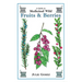 Guide to Medicinal Wild Fruits & Berries